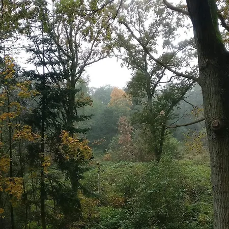 6 Person In Hadsund-by Traum *