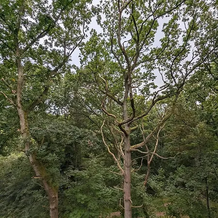 6 Person In Hadsund-by Traum Hadsund